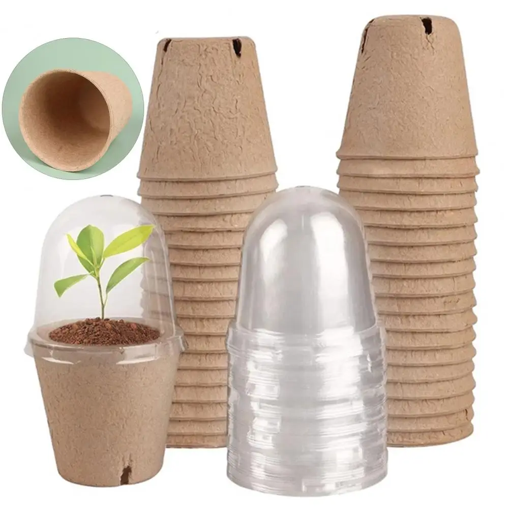 10Pcs Germination Plant Pot with Humidity Dome Disposable Seeds Starter Pots Biodegradable Peat Pots Plant Nursery Pot