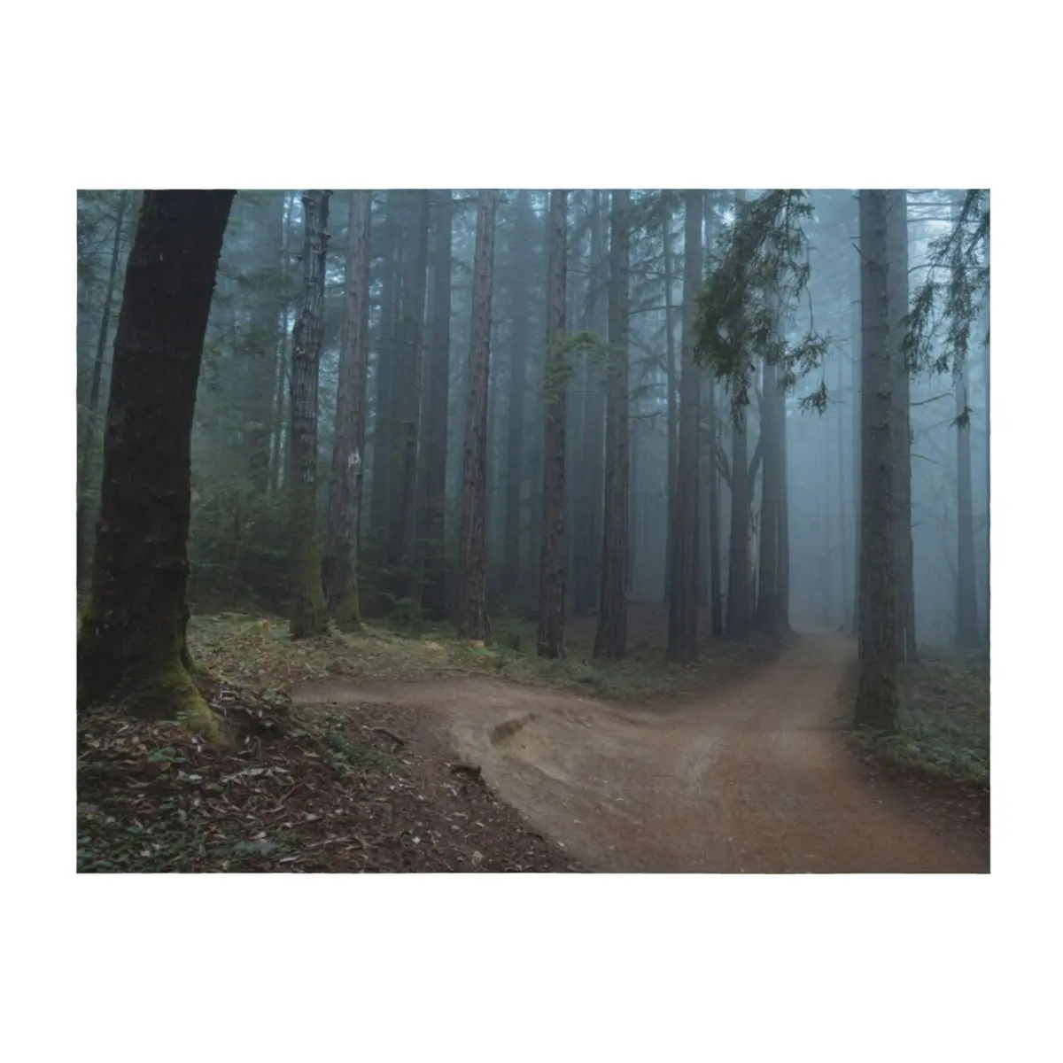 

Forest II Throw Blanket Beach anime Luxury Thicken cosplay anime Blankets