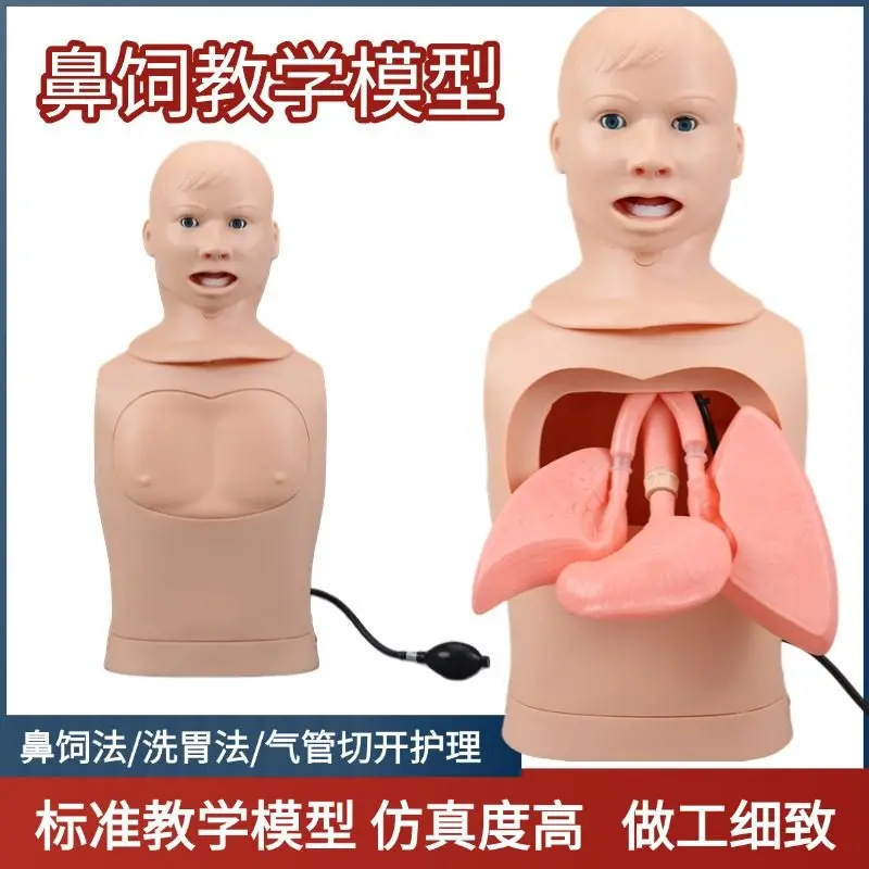 Nasogastric tube and trachea care model Nasogastric feeding tube Mold incision and sputum suction training Tracheal intubation,