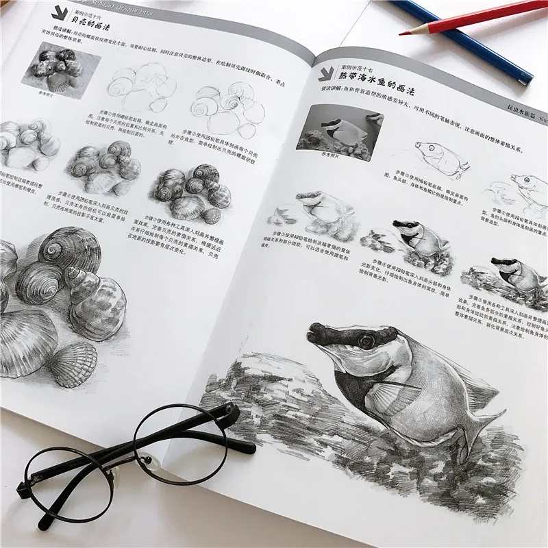 Libros básicos de boceto a lápiz, Tutorial de base cero, de principiante a profesional, libros de dibujo de bocetos pintados a mano, libro de curso