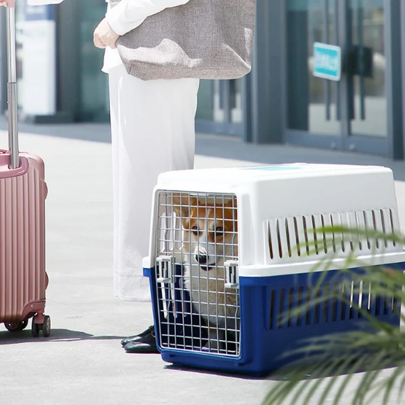 

Pet airline transport box, durable plastic pet transport box, portable bag for car transport, hand-held dog travel box.