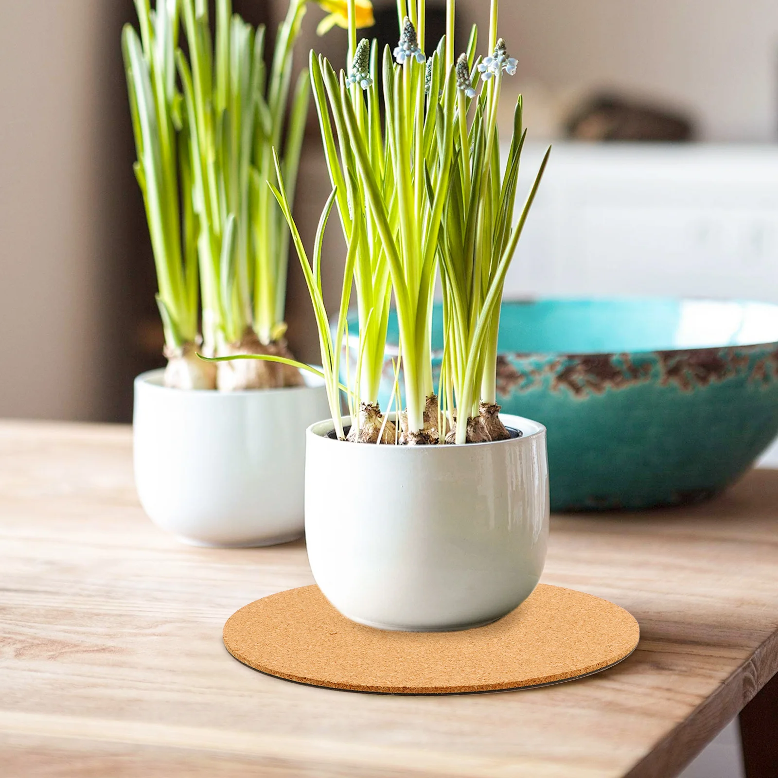 

5pcs Soft Cork Plant Saucers Lightweight Durable Flowerpot Pads Water Resistant Non-Scratch Tray For Garden Indoor Outdoor Plant