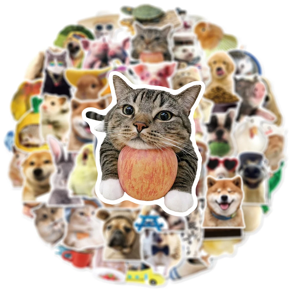 10/30/50 stücke Lustige Nette Tiere Meme Aufkleber Kawaii Katze Hund Cartoon Aufkleber Spielzeug Wasser Flasche Sammelalbum Telefon fahrrad Aufkleber Verpackung
