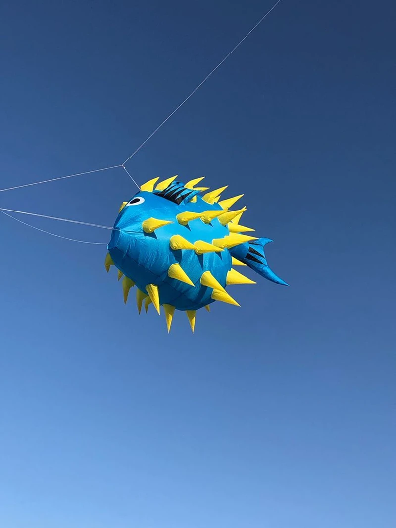 free shipping 5m puffer fish kite flying outdoor toys large air snakes kite buggy string shooter soft kites Inflatable toys fun