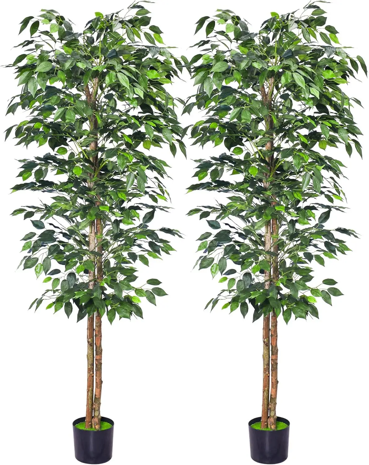 

2Packs 6FT Artificial Ficus Trees with Realistic Leaves and Natural Trunk, Faux Ficus Tree with Sturdy Plastic Nursery Pot, Fake