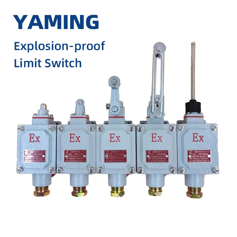 DLXK LX5 Series X/D/Z/L/N Explosion-proof IIBT6 Limit Switch 220/380V 5A Control Rotary Electrical Equipment 1NO 1NC