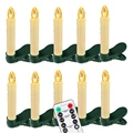 10 Pcs