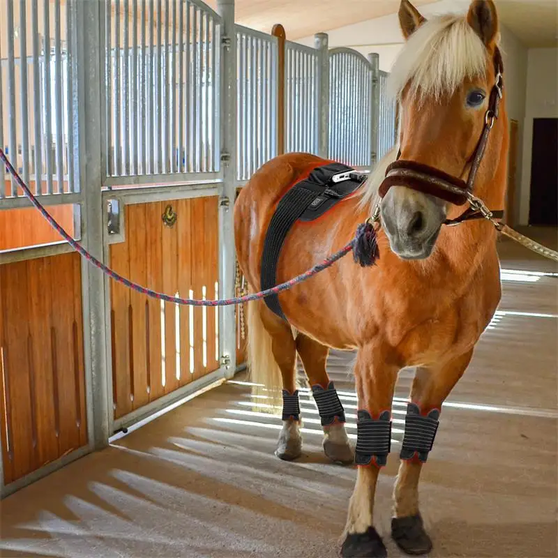 

Hot Sale Professional Equine Canine Pain Relief Red Light Therapy Pad Infrared Red Light Therapy Wrap With Built-in Battery