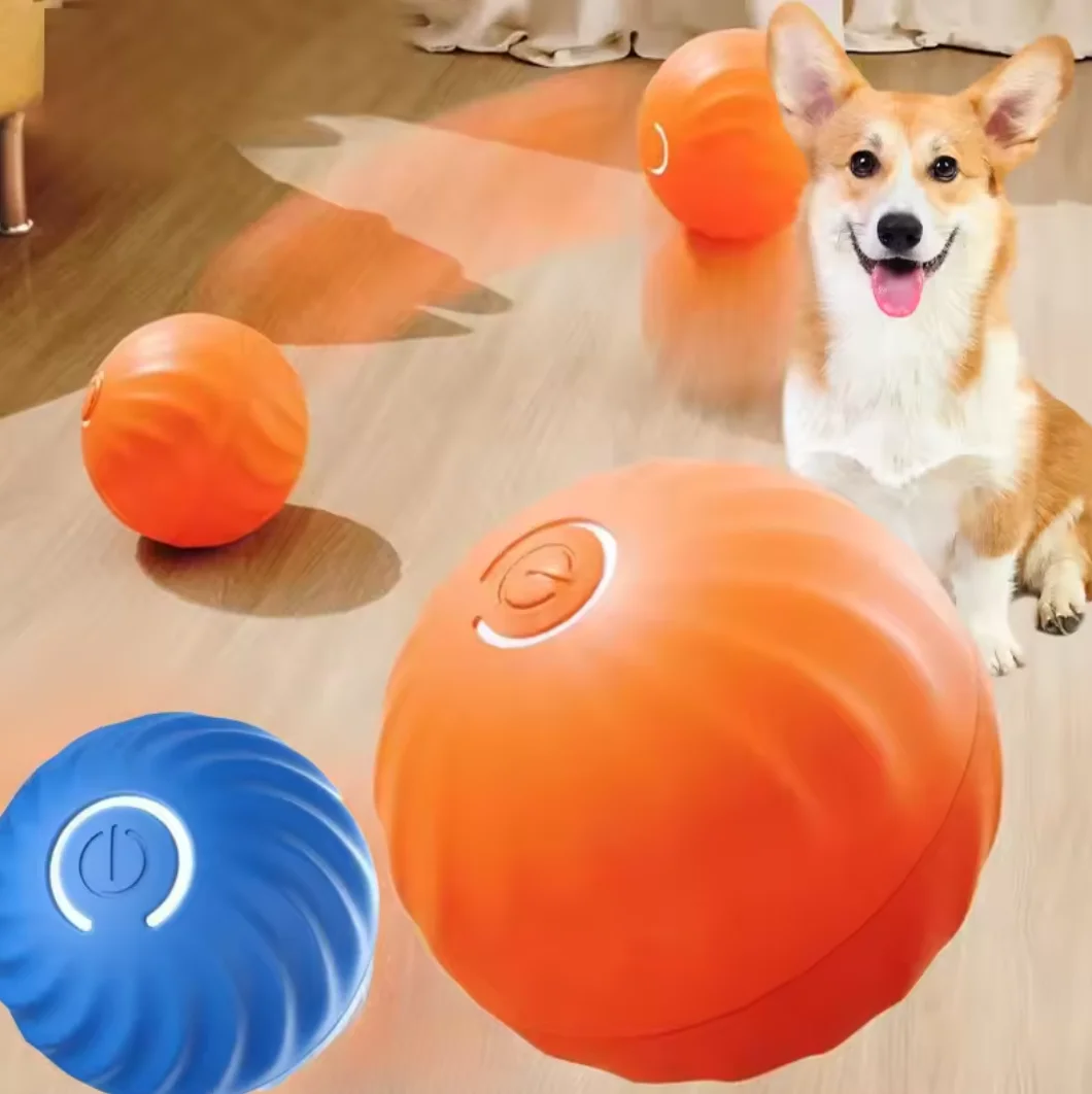#29 Trending Dog Fetch Toys Right Now