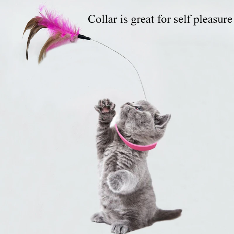 

Cat Collar Teasing Stick Relaxation Set Neck Collar Feather Bell Cat Toys Pet Supplies Interactive Kitten Juguetes Para Gatos