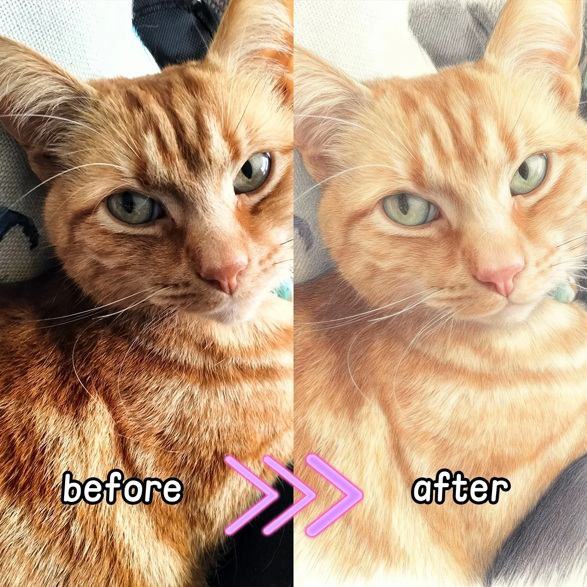 شخصية مخصصة قلم رصاص ملون نمط قماش الطباعة المشارك لصورة الأسرة الحيوانات الأليفة مشهد الزفاف الفن يطبع ديكور المنزل