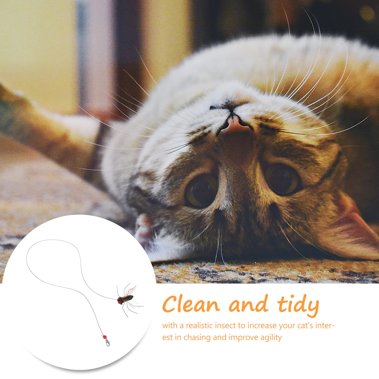 

2pcs Teaser Stick Refills Interactive Fly Insect Long String Replacement Heads For Indoor Kitten Play Enrichment Pet Insect