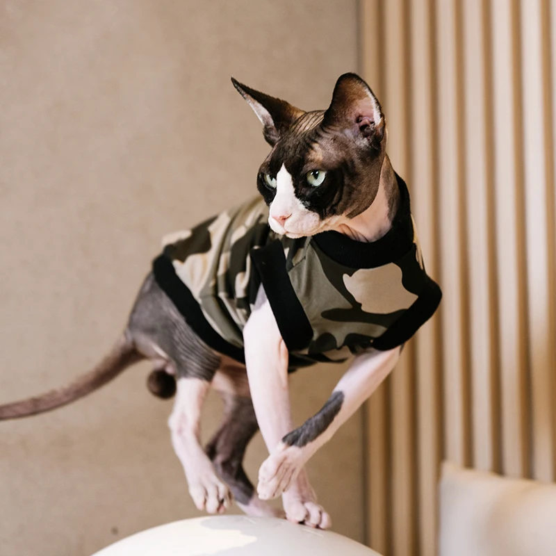 Camouflage Pattern Pet Dress Sphynx Hairless Cat Clothes for Cat Devon Rex Conis Cat Costume Kitten Outfits Sphynx Cat Dress