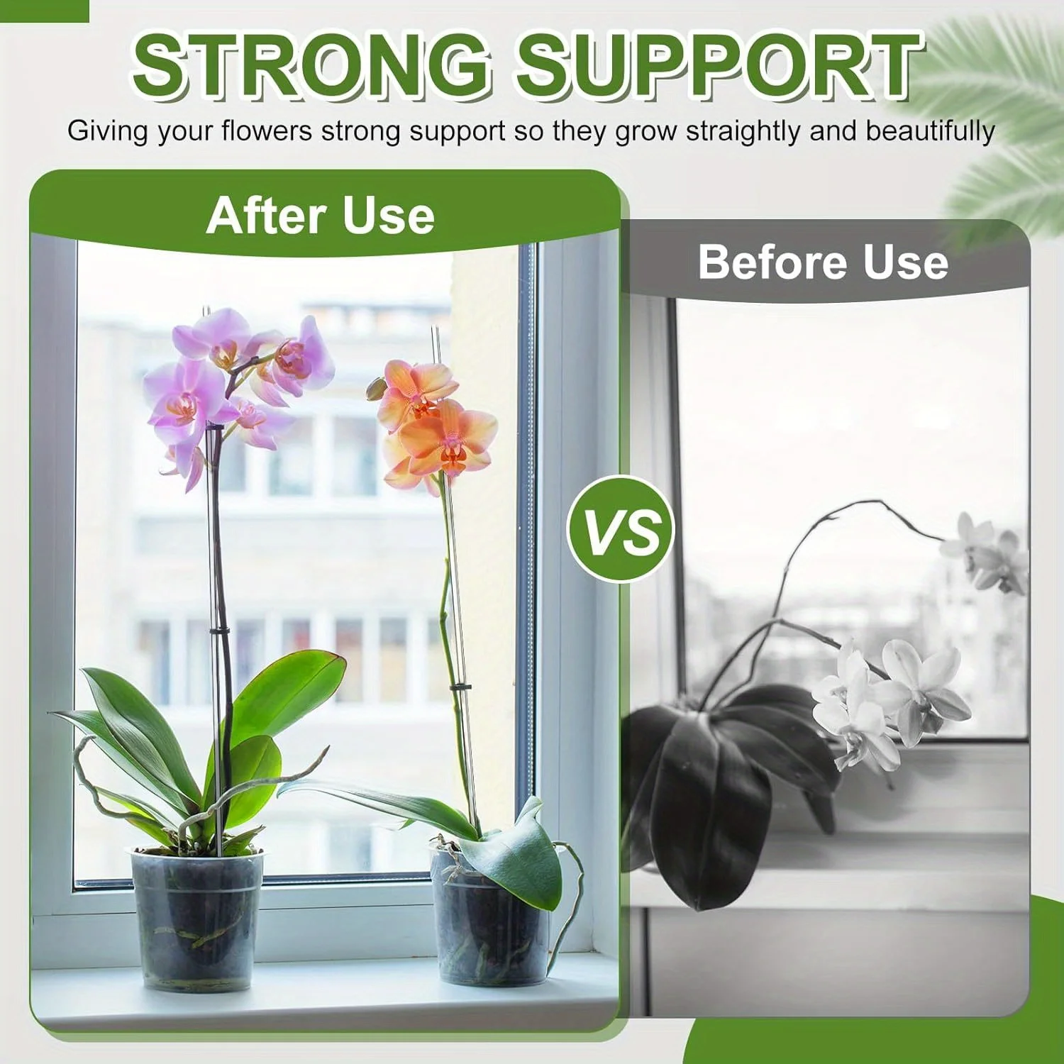 

Акриловая рама для восхождения растений, прозрачная и прочная, подходит для комнатных лоз и цветочных горшков, рама для восхождения растений