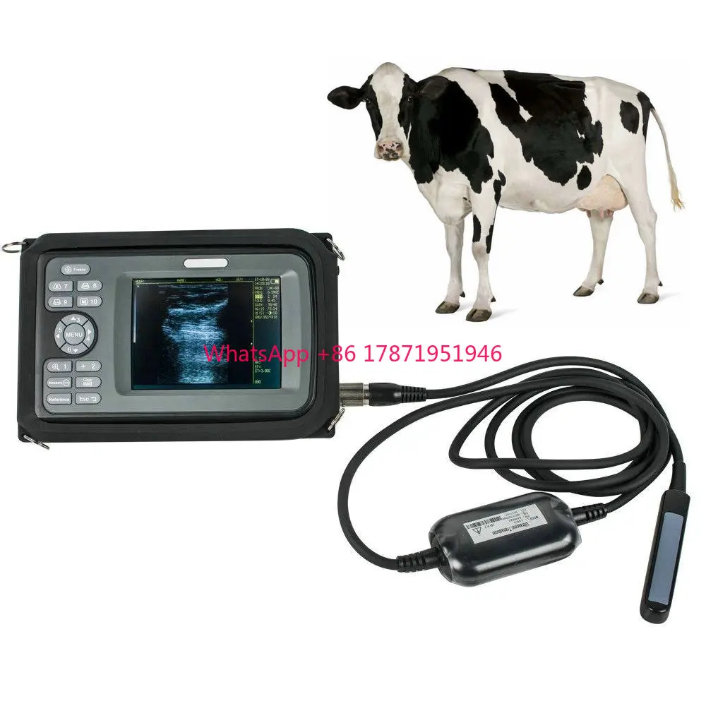 

USB Rectal horse cattle cow bovine equine test veterinary ultrasound machine