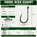 Size 20