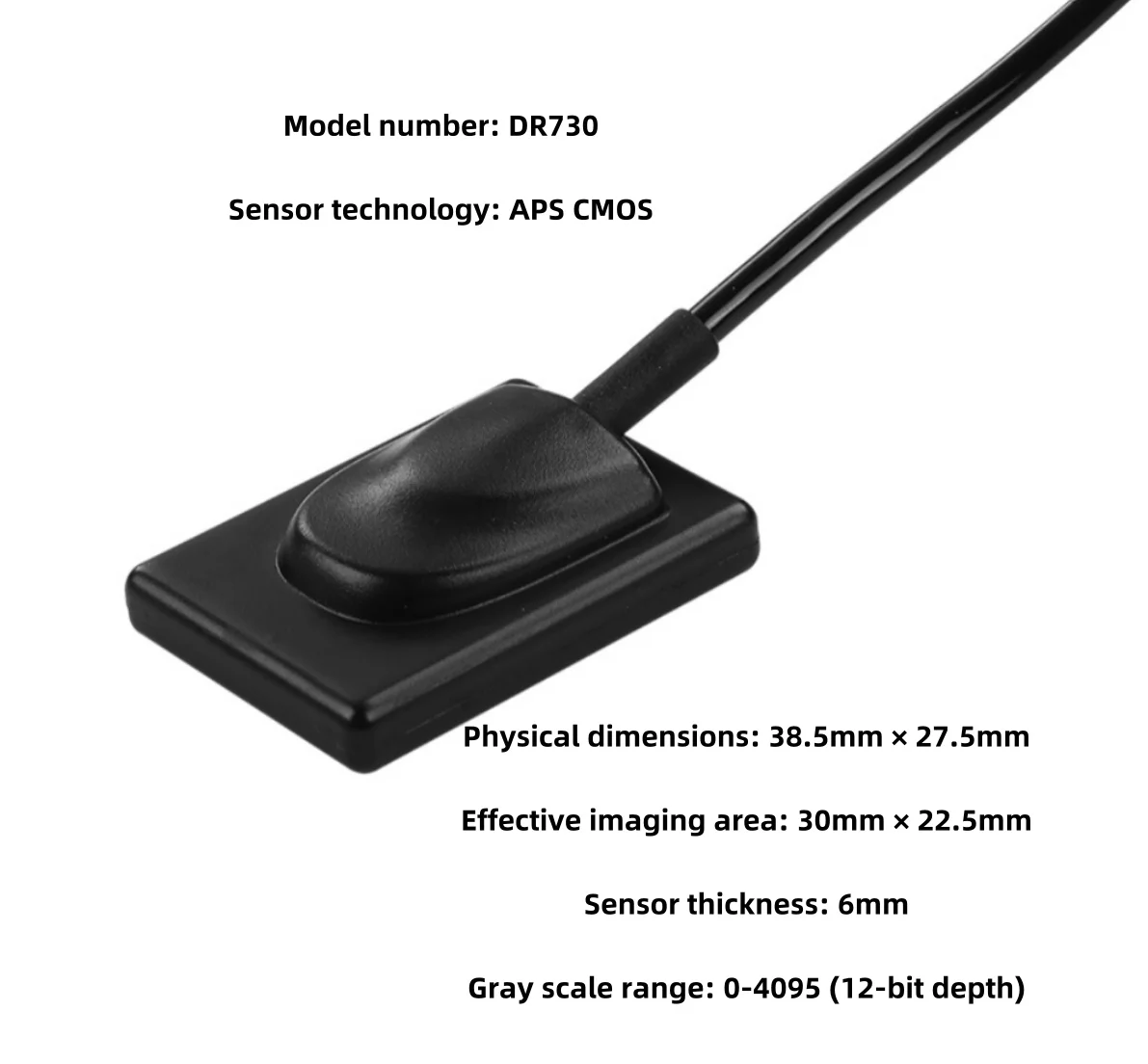 

DR730 Dental X-Ray Sensor CMOS APS Digital Intraoral Imaging IPX7 Win7/10 Compatible HD RVG Sensor for Adults/Kids