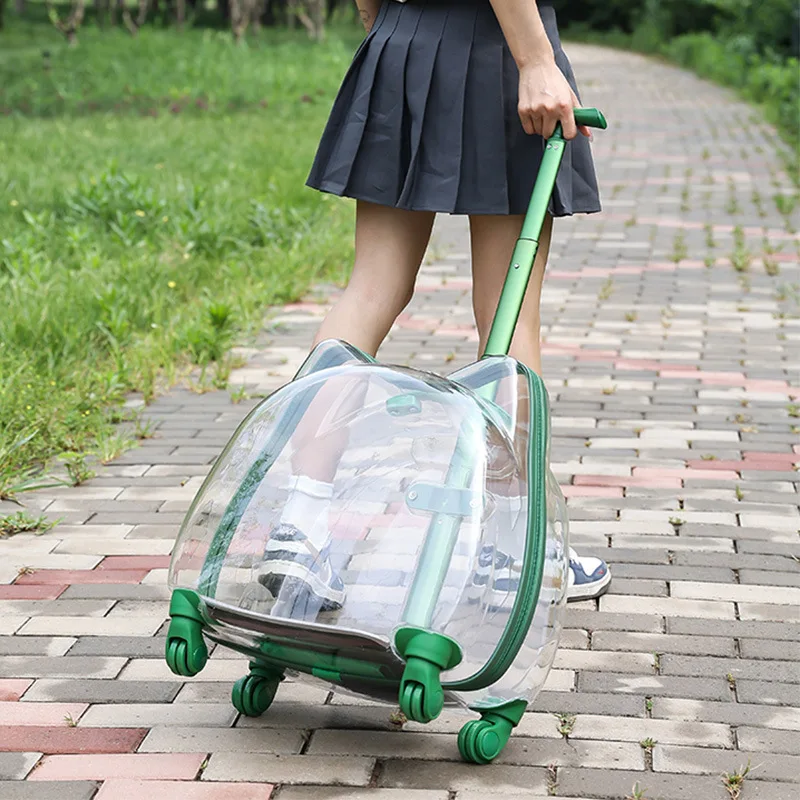 

Новинка 2025, полностью прозрачная коробка для кошек, чемодан для домашних животных, дышащая сумка для кошек, уличная сумка, портативная сумка для щенков