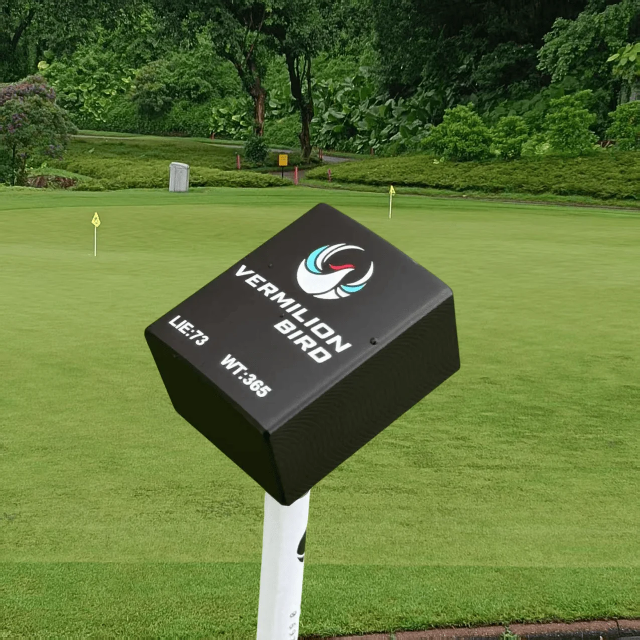 Golf Practice Putte… - image