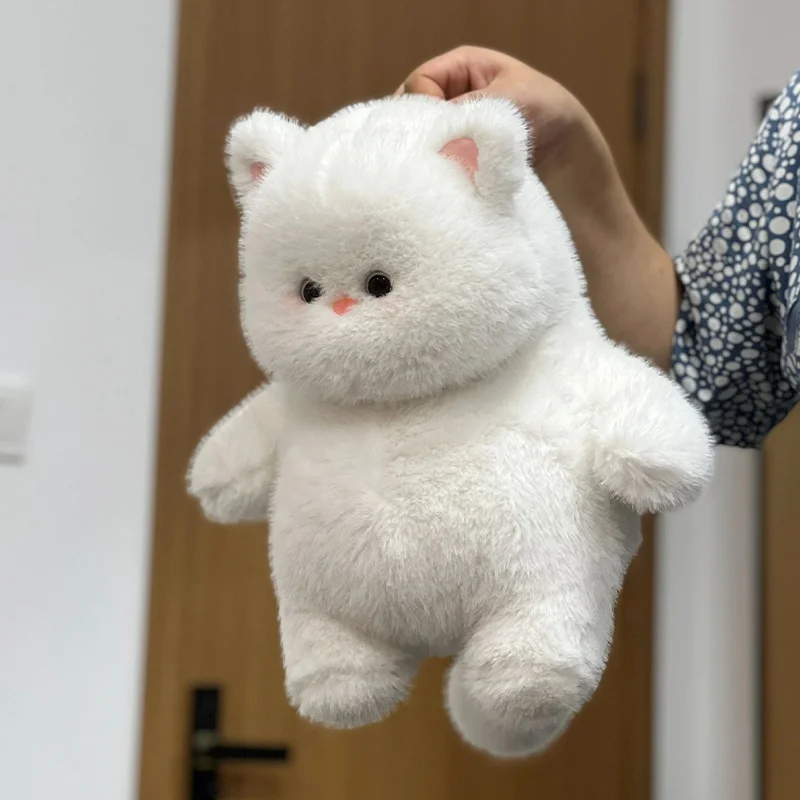 Peluche Kawaii Fat Cats pour Enfants, Jouets Super Doux, Décoration de Maison Simple et Fraîche, Animaux en Peluche, Cadeaux pour Bol, 35cm