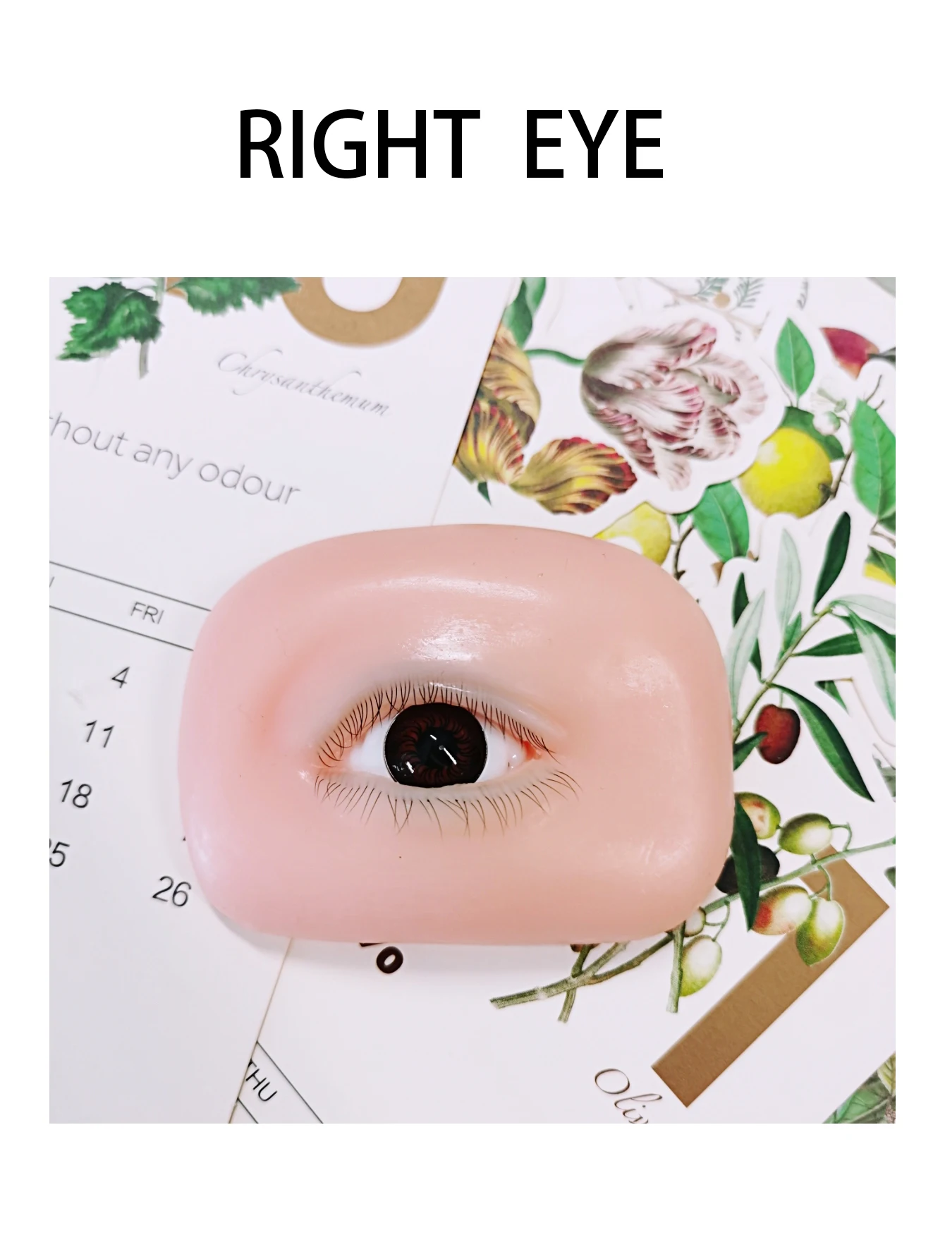 Mannequin Eyes for Eyelash Practice, Flat Doll Head, Korean Makeup Products Tool,False Eyelash Grafting Training Mannequin Head