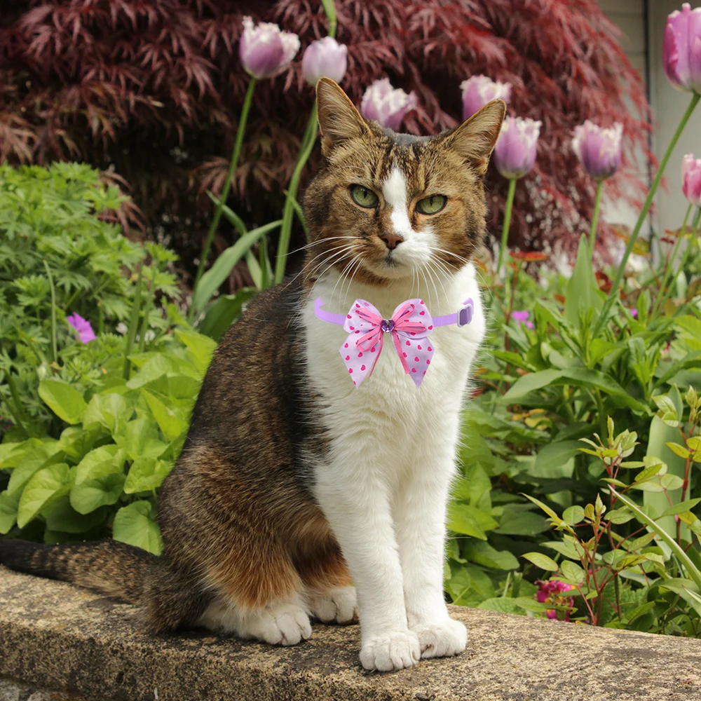 50/100Pcs Dog Bowties Cat Dog Grooming Bows With Loving Hearts Pet Products Valentine\'s Style Dog Bows For Small Medium Dogs