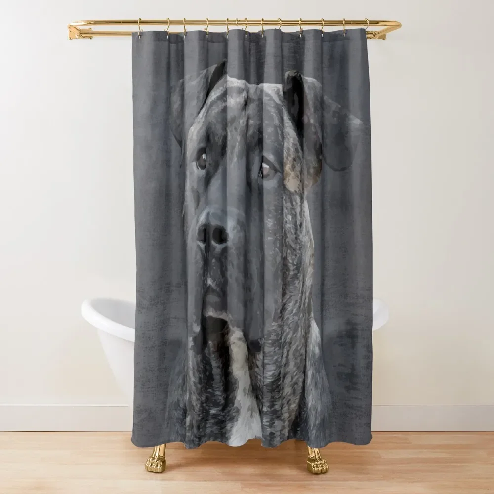 

Perro de Presa Canario - Dogo Canario Shower Curtain Cover Modern Showers For Bathroom Modern Accessory Bathrooms Curtain