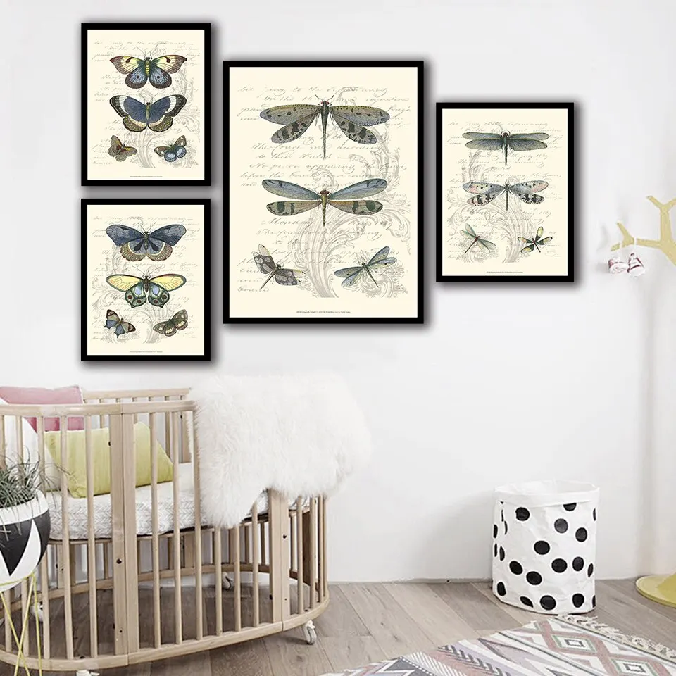 European Vintage Entomology Poster  High Quality Butterfly Flies Mosquito Science Art Decor  Wall Decor