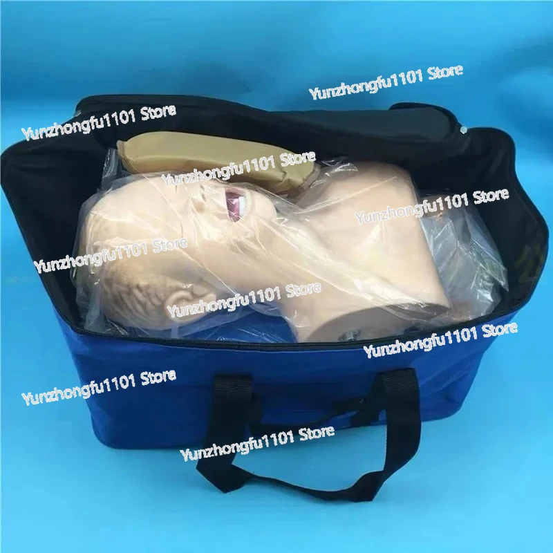 Human Body Model Learning Teaching Model Airway Management Training Device with Teeth