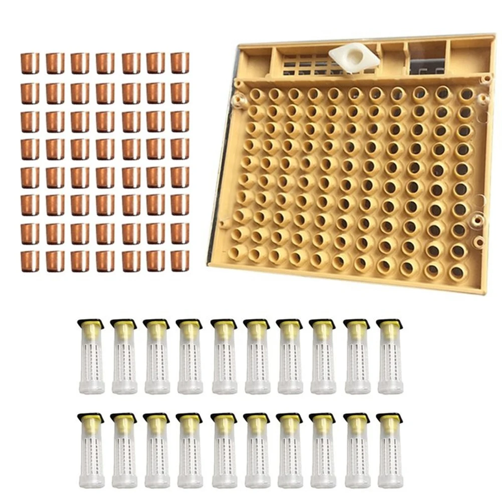 

Plastic Queen Rearing 120pcs Cup Kit Beekeeping Tool Harmless Light Weight Non-drug and Long Life Bee Cell Cultivating Box