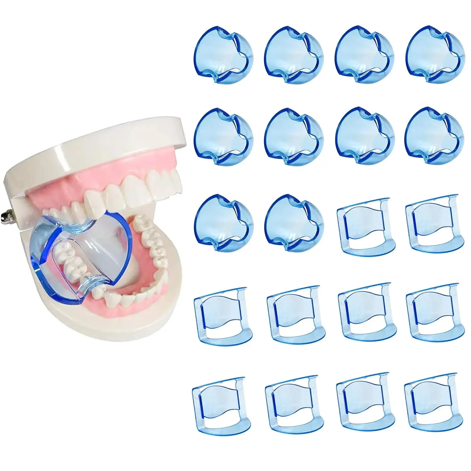 

Dental Bite Blocks Mouth Opener Lip Cheek Retractor for Front Teeth and Posterior Teeth Two Types(20 Pieces Blue)