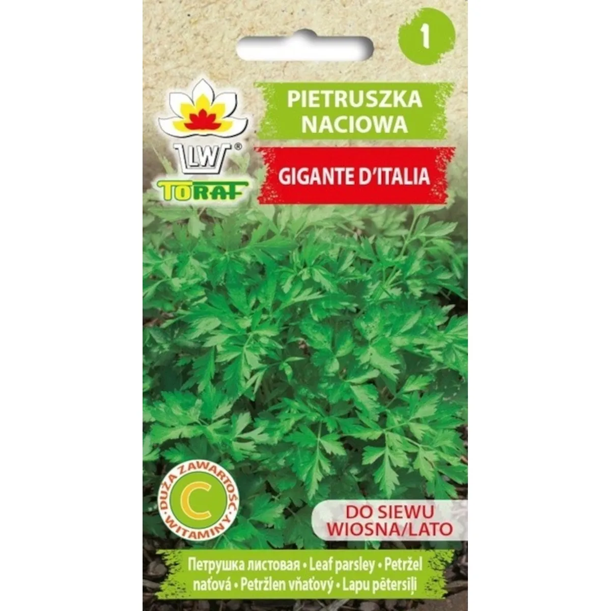 Parsley seed Gigante D'Italia vegetable parsley seeds 2G-TORAF