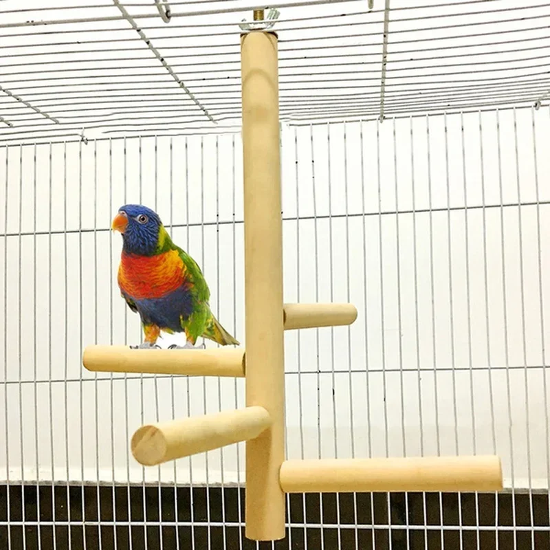 #17 Latest Bird Ladders & Perches Offers