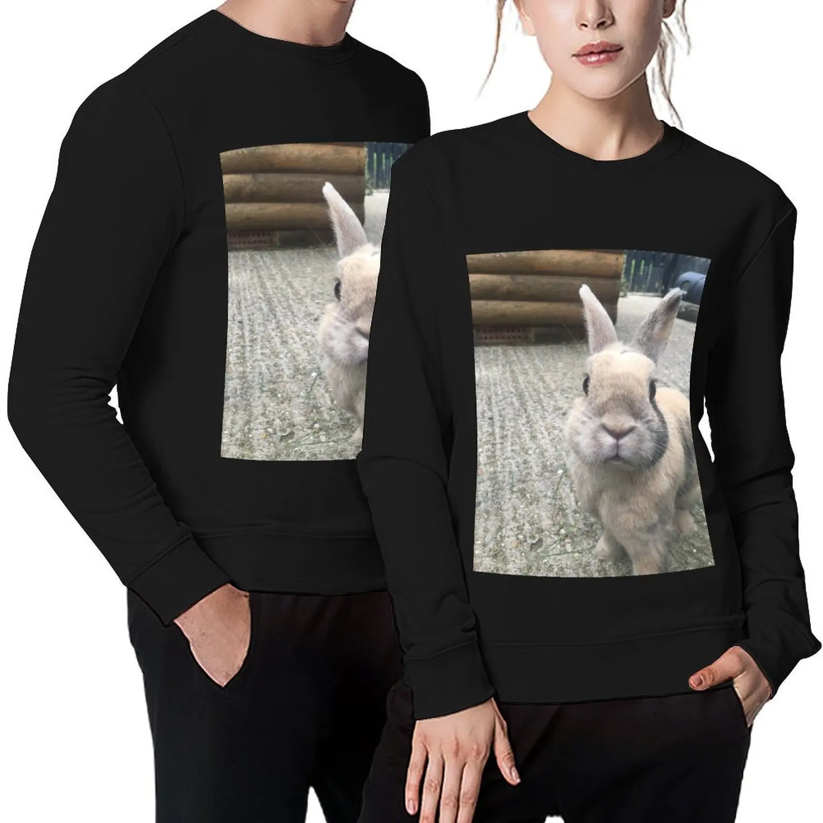 

Bunny Pullover men's sweat-shirt set anime clothing men clothes autumn new products oversize sweatshirts