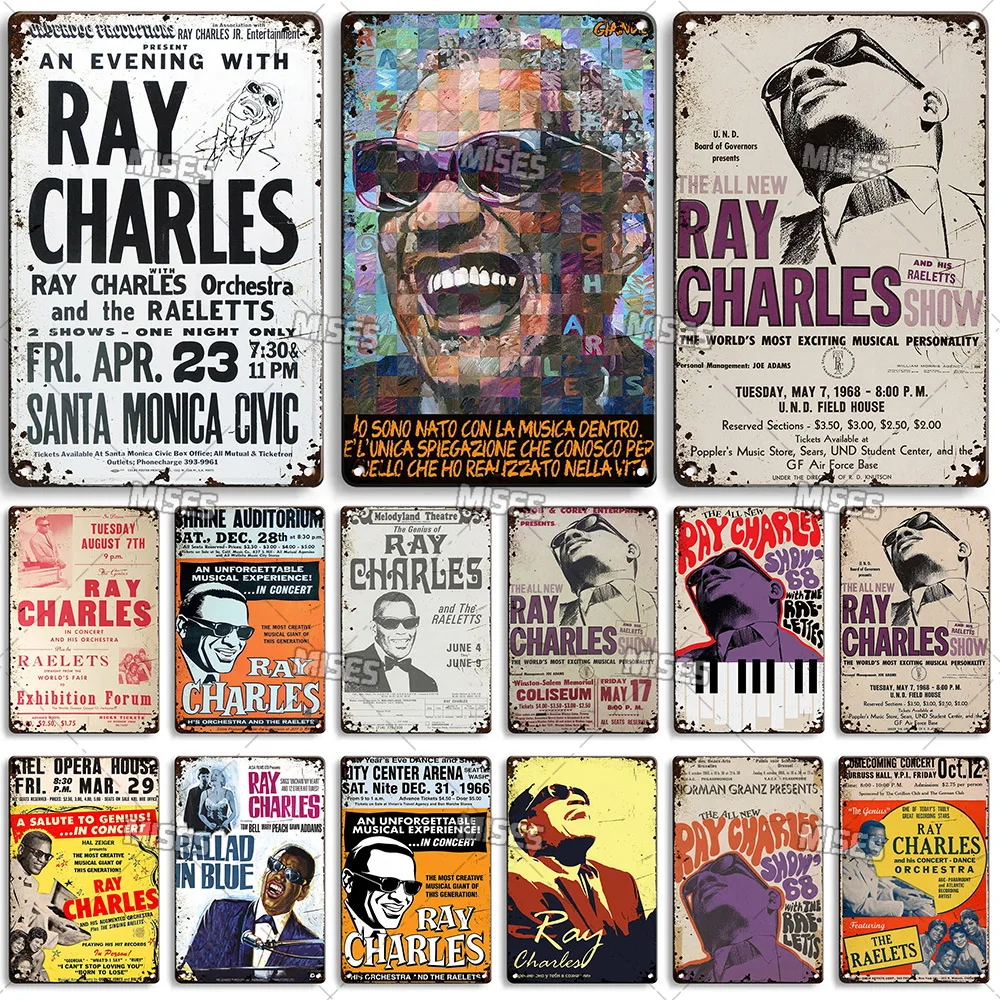 MISES-placa de pared de músico Ray Charles, letrero de estaño de Metal Retro, placa de Metal oxidado, placa decorativa de cantante, decoración de pared para Pub, cafetería y estudio