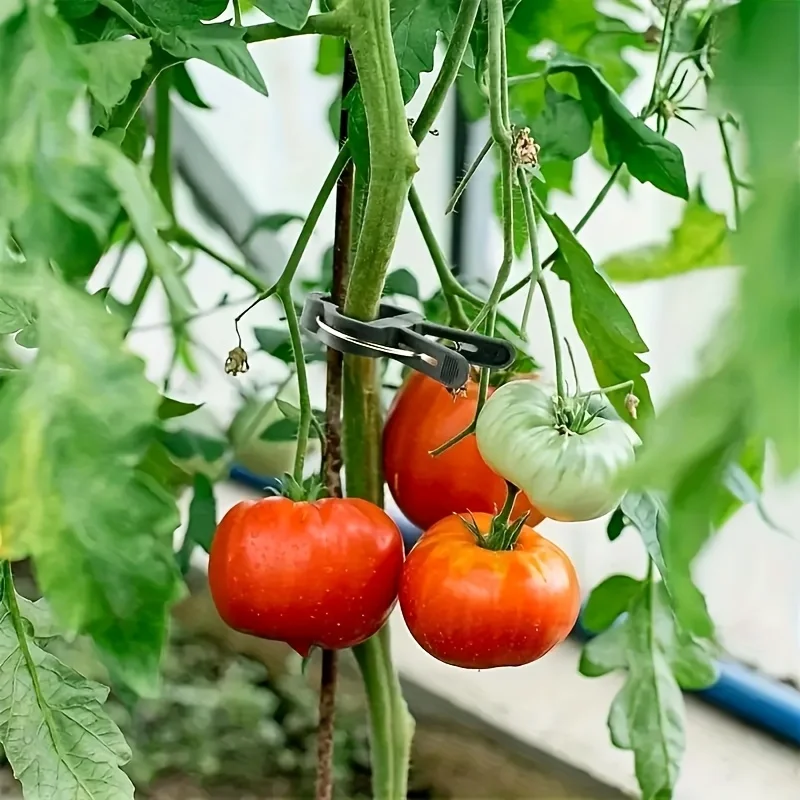 40 Stück Pflanzenklammern, Gartenklammern für Tomatenkäfige, Tomatenklammern, Pflanzenstützklammern für Bambuspfähle, Kletterpflanzen, Ranken