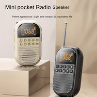 Portable Pocket Radio Dual Band AM FM Radio Receiver Mini Wireless Bluetooth Speakers with LED Display TF Card Music Player