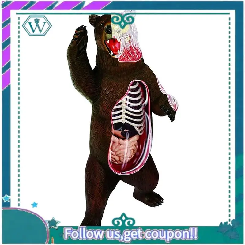 

A75Q-4D Vision Animal Bear Anatomy Model 36 Parts Detachable Animal Biology Organ Anatomical Classroom Supplies Teaching