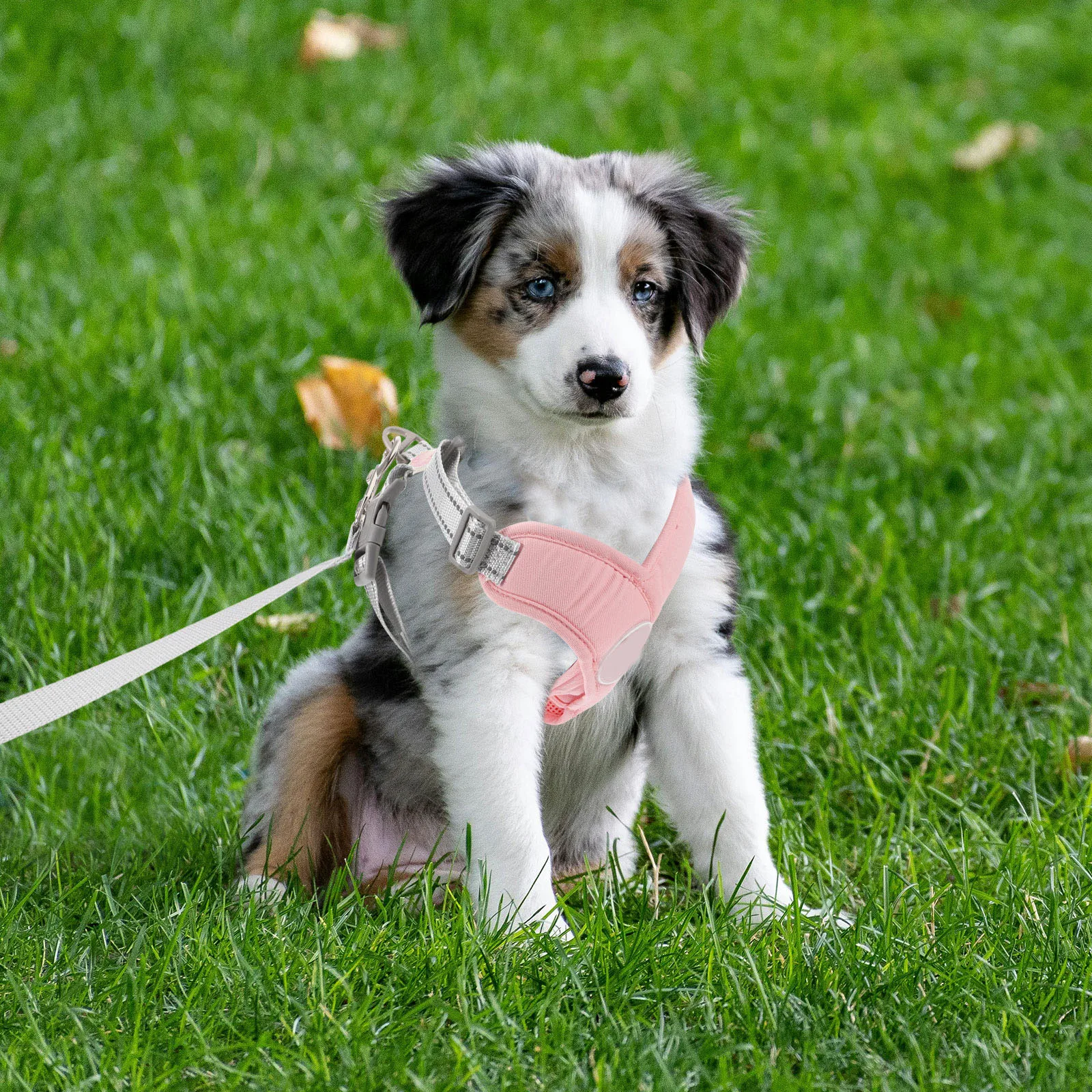 

Pet Harness Pink M Size Dog Rope Vest Lead Wear resistant Heavy Duty Reflective for Small Large Dogs Walking Puppy Accessory Dog