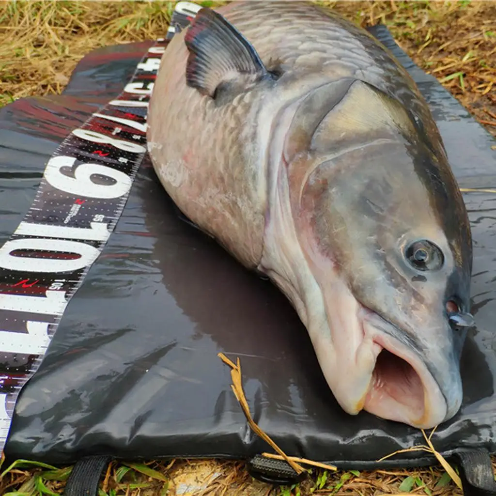 الصيد Unhooking الهبوط حصيرة المشي لمسافات طويلة التخييم صيد السمك #3