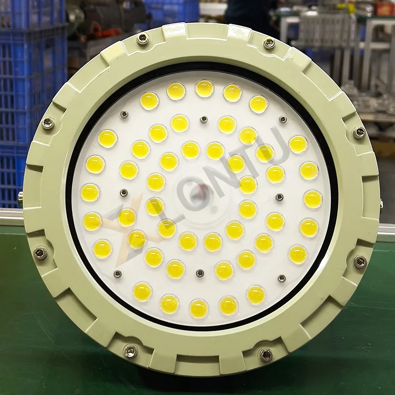 

Thermal Insulation Explosion-Proof Lamp for Factory Workshop & Tunnel G as Station for Chemical Industry Projection Lighting