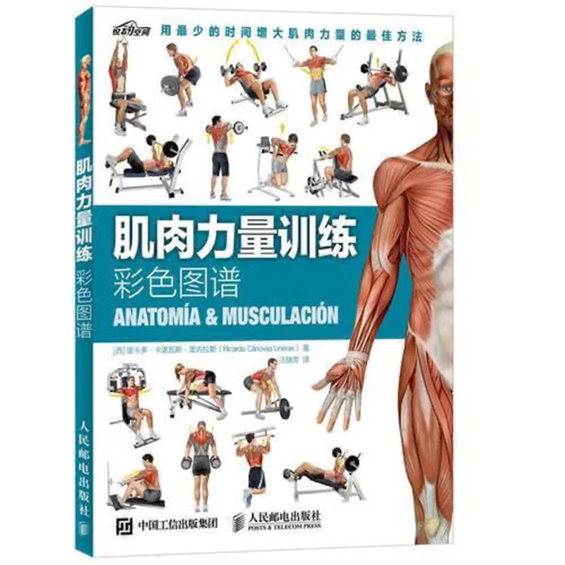 Stretching + Muscle Strength Training + Equipment-Free Strength Training Color Atlas Fitness Book Expertise