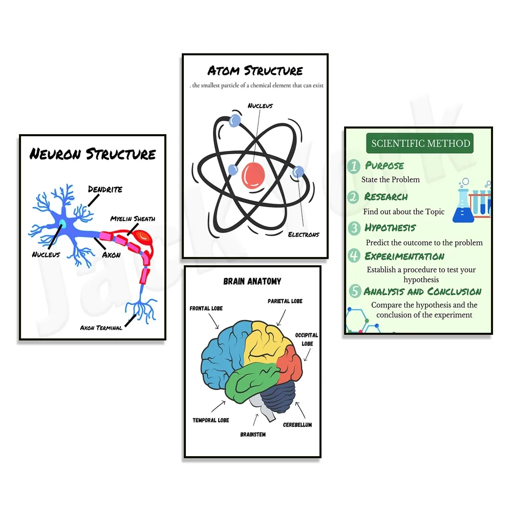 Brain Anatomy Poster, Neuron Poster, Scientific Method Poster, Atom Poster, Educational Print, Classroom Poster, Anatomy Print