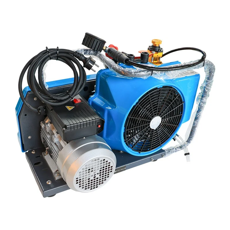 

220V Certificate 3.5cfm 4500pi Portable Diving 30MPa 300bar Breathing Air Compressor Positive Pressure Inflation Pump
