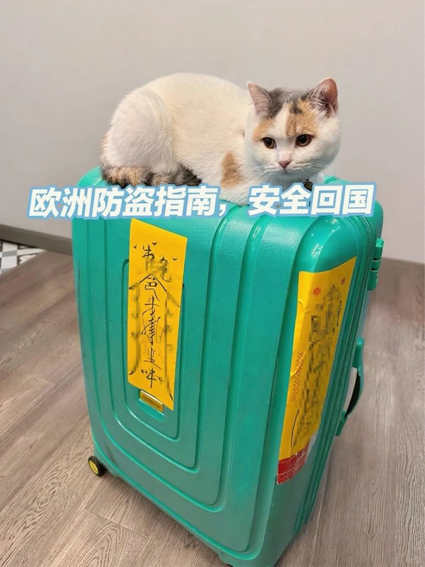Waterproof Taoist Talisman Luggage Sticker Anti-Theft Suitcase Mark Decal Anti-Mix Up Baggage Label for European Overseas Travel