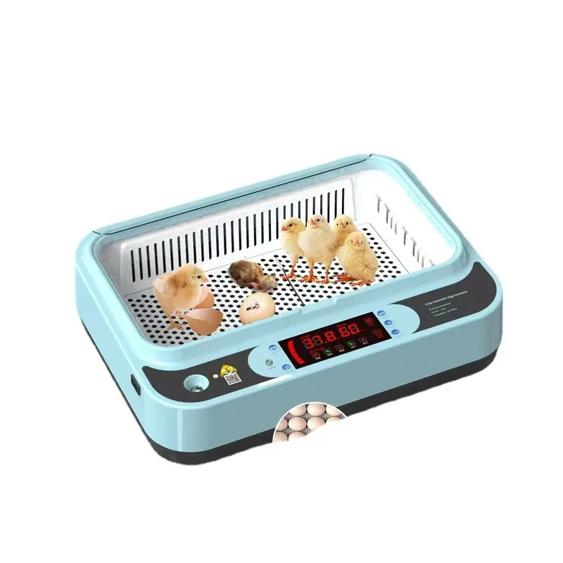 Chicken Incubator, Small Automatic Intelligent Home Use Egg Hatcher, Baby Chick Incubation Box, 7-12 Eggs Capacity