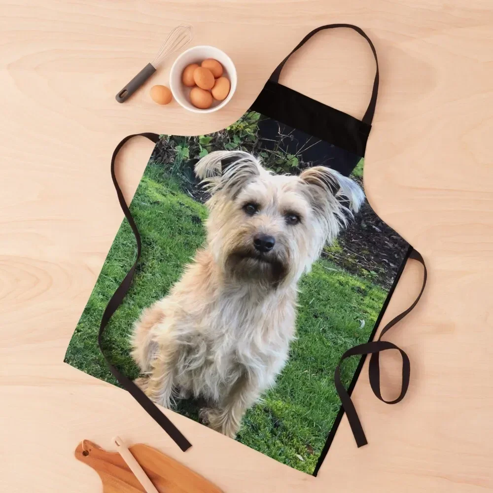 Chido 2 Apron For Nail Stylist Ladies japanese woman Apron