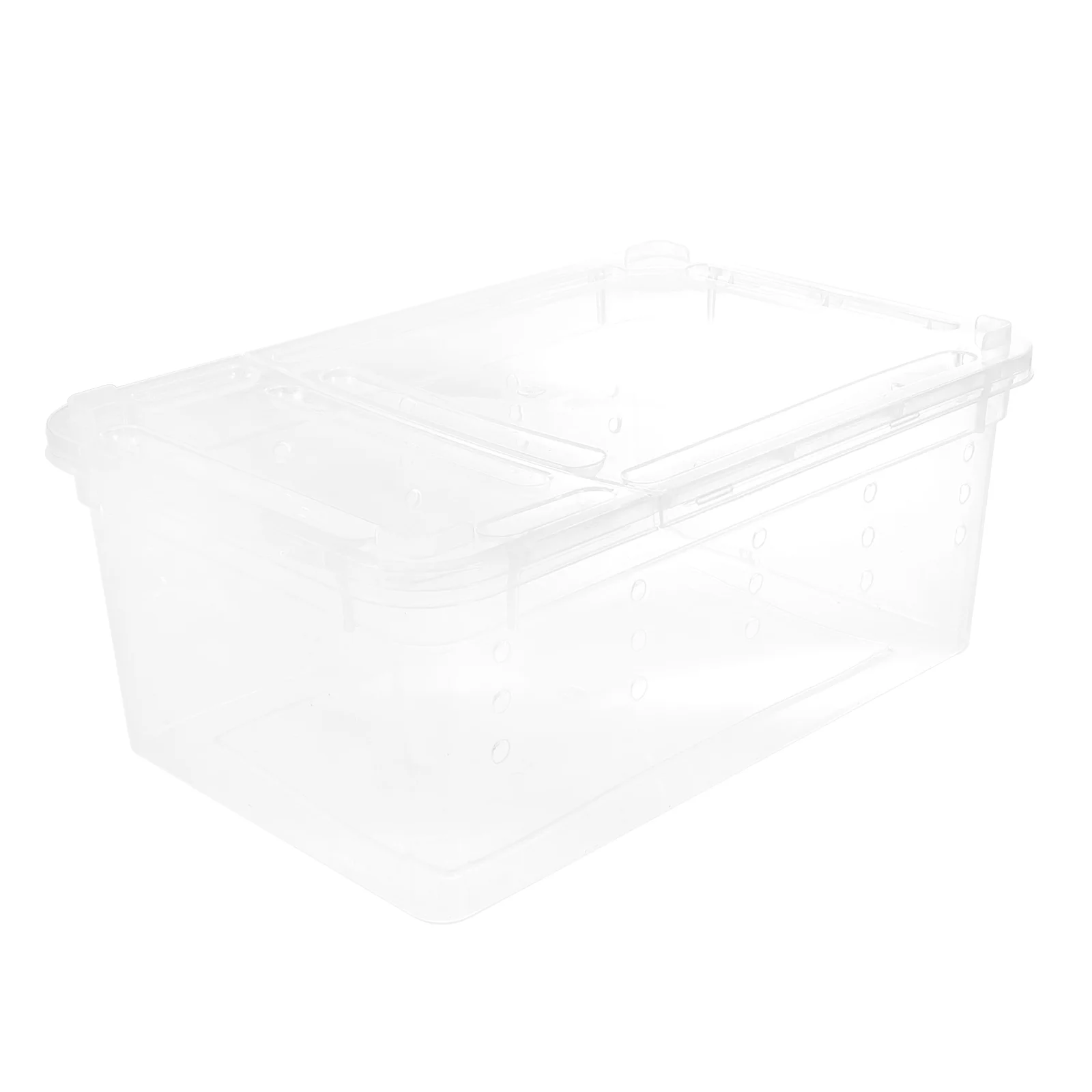 

Animals Insect Rearing Box Climbing Pet Feeding Container Sea ​​turtle Reptile Storage Case Transparent for Display Containers