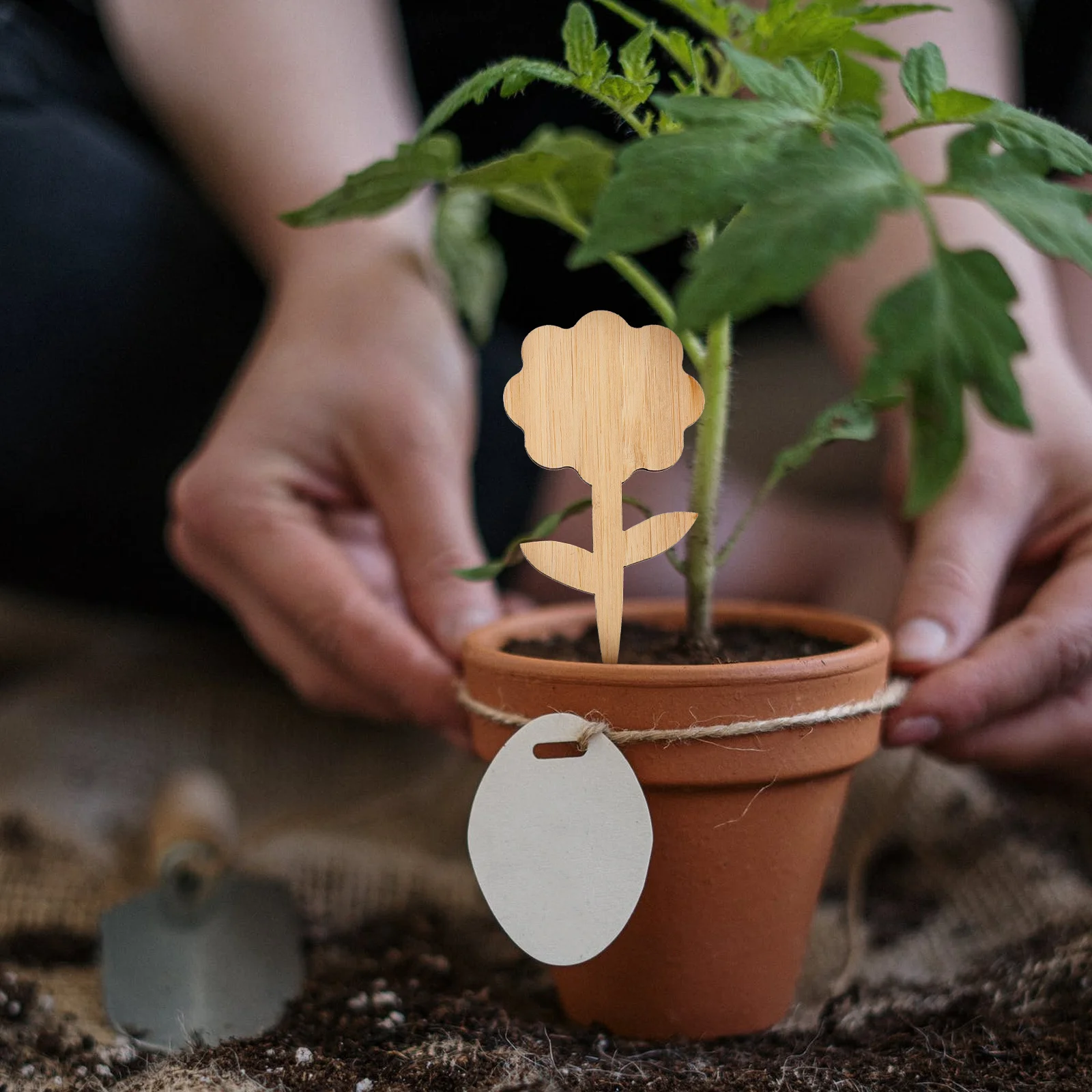 

60Pcs Bamboo Plant Labels Garden Markers Plant Classification Signs Flower Pot Inserts Gardening Supplies Name Tags