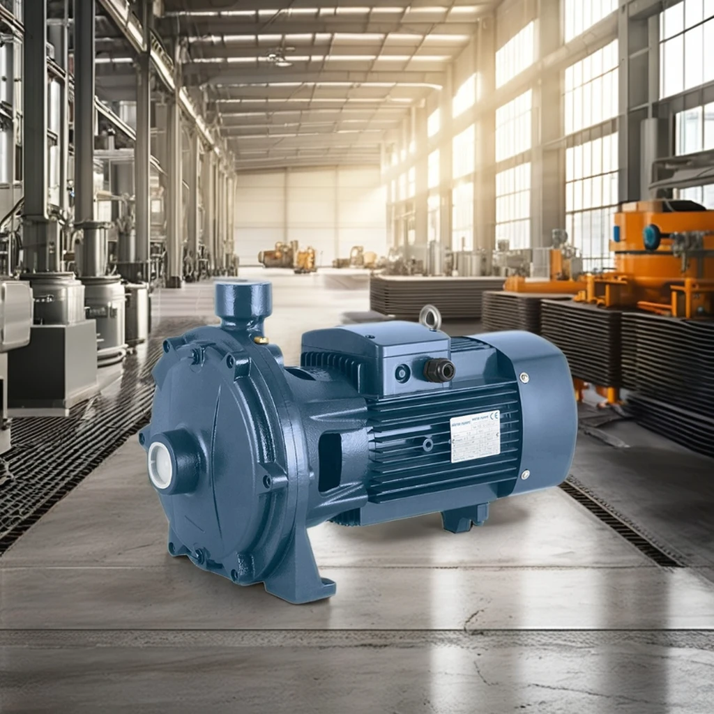 High-Efficiency 7hp Horizontal Double Impeller Industrial Centrifugal Pump 30hp 60hz Customizable Cable Length High Watering